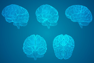 青岛属于南方还是北方？