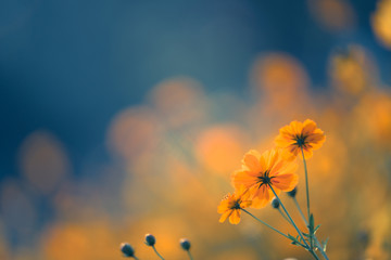 父亲的车能过户给儿子吗