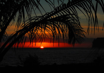 国产斯泰拉纺车轮和阿布哪个好