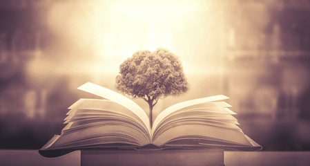 数学大迷思的手抄报 数学手抄报