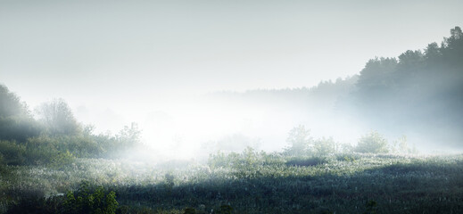数学大迷思的手抄报 数学手抄报