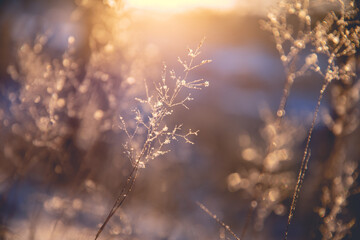 早安心语：发朋友圈的清晨短句