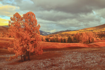 捷安特XTC790和XTC880有什么区别