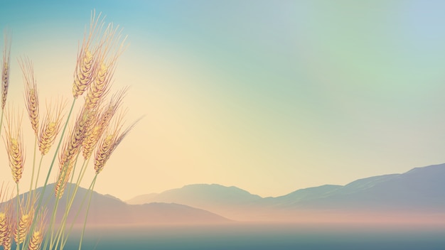 父亲的车能过户给儿子吗