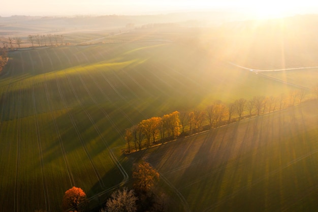 早安心语：发朋友圈的清晨短句