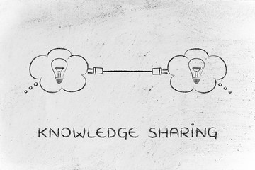 青岛属于南方还是北方？